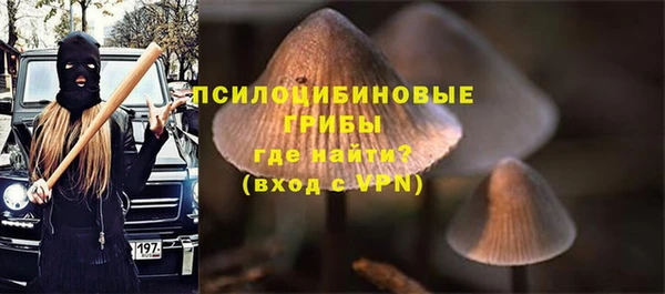 тгк Елизово