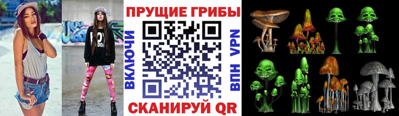 купить наркотики цена  Дрезна  Галлюциногенные грибы Magic Shrooms 