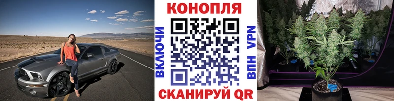 где купить наркоту  Дрезна  KRAKEN ссылки  Канабис конопля 